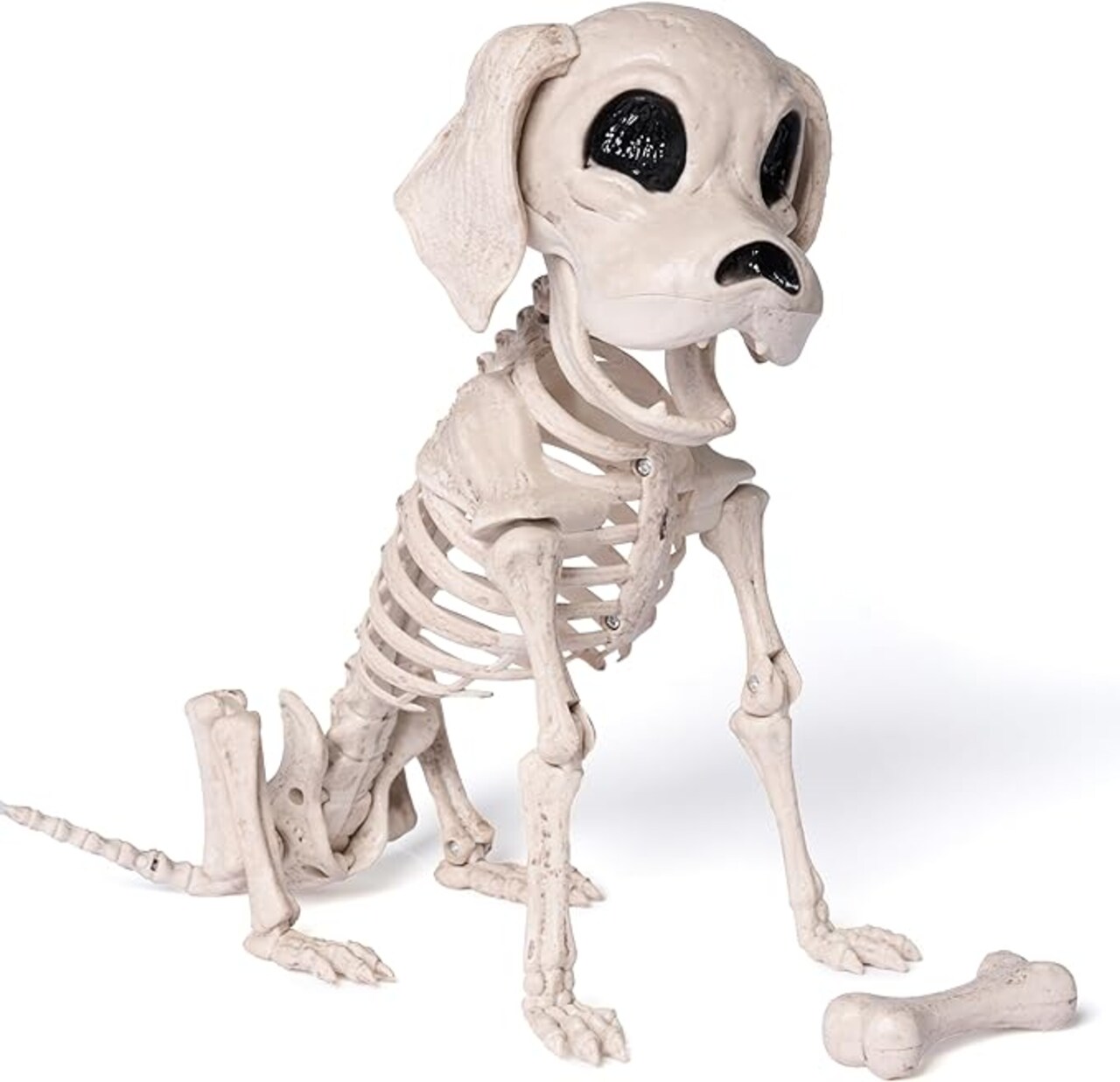Posable Halloween Dog Skeleton Full Body Posable Joints Skeleton Puppy for Halloween Decoration, Graveyard Party Deco (9.8” X 4.7” X 12.6”)